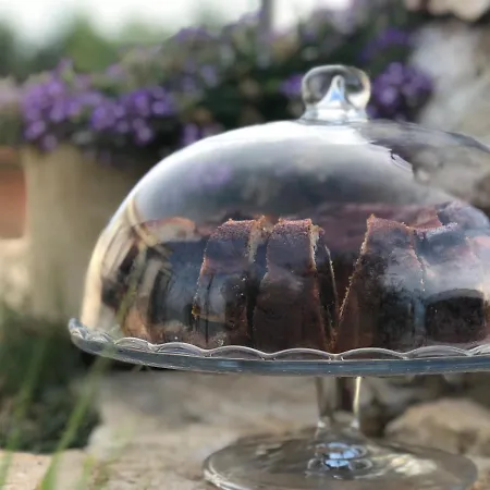 Bed & Breakfast Le Cicale Vieste