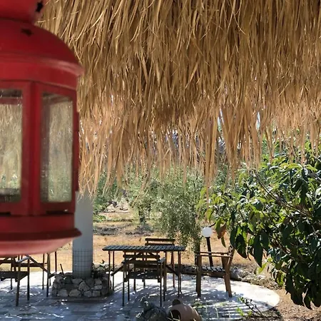 Le Cicale Bed & Breakfast