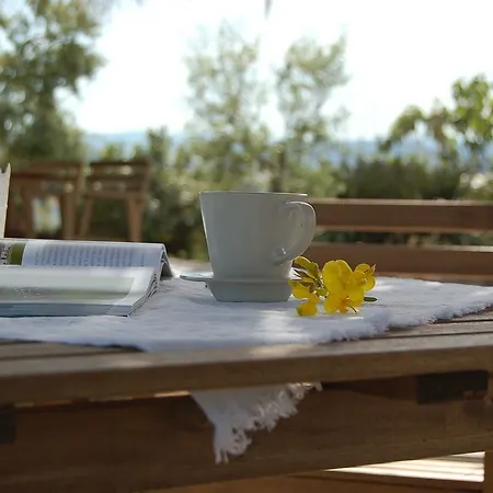 Bed & Breakfast Le Cicale 4*