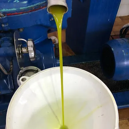 Le Cicale Bed & Breakfast 4*