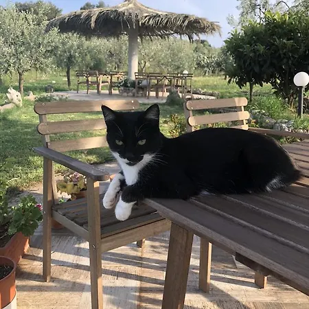 Le Cicale Bed & Breakfast