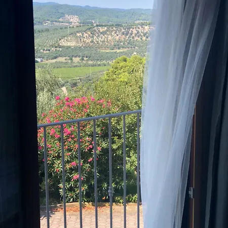 Le Cicale Bed & Breakfast