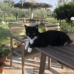 Le Cicale B&B
