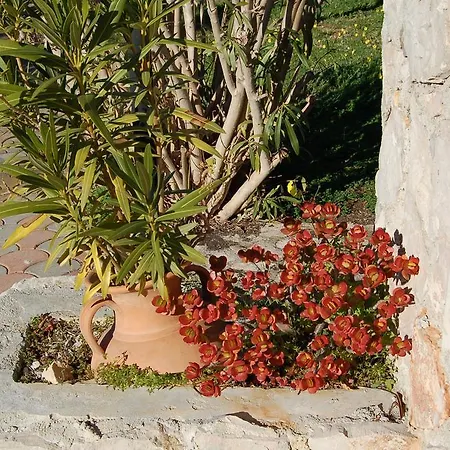 Le Cicale 4* Vieste