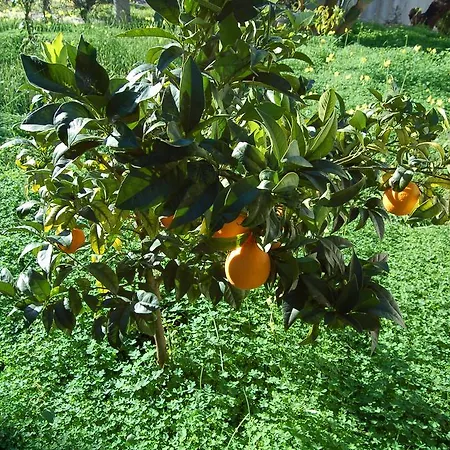 Le Cicale Frühstückspension 4*