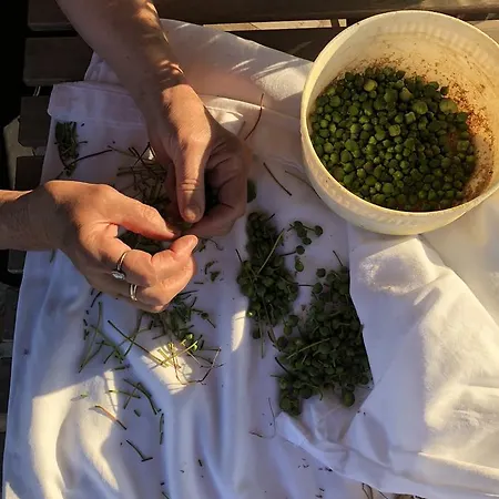 Frühstückspension Le Cicale Vieste