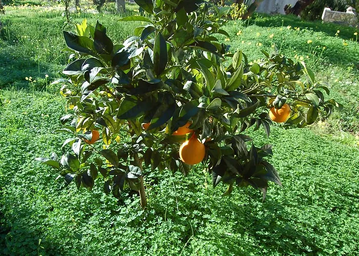 Le Cicale Couette-café 4*