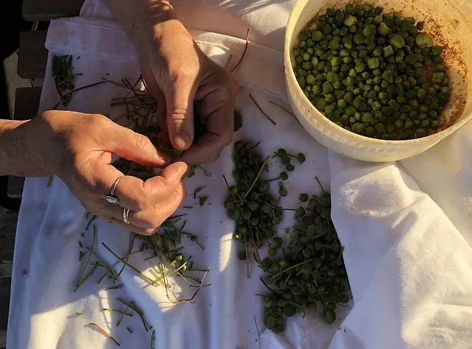 Couette-café Le Cicale Vieste